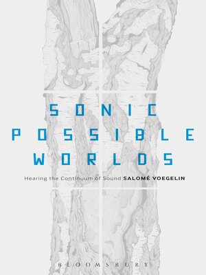 cover image of Sonic Possible Worlds